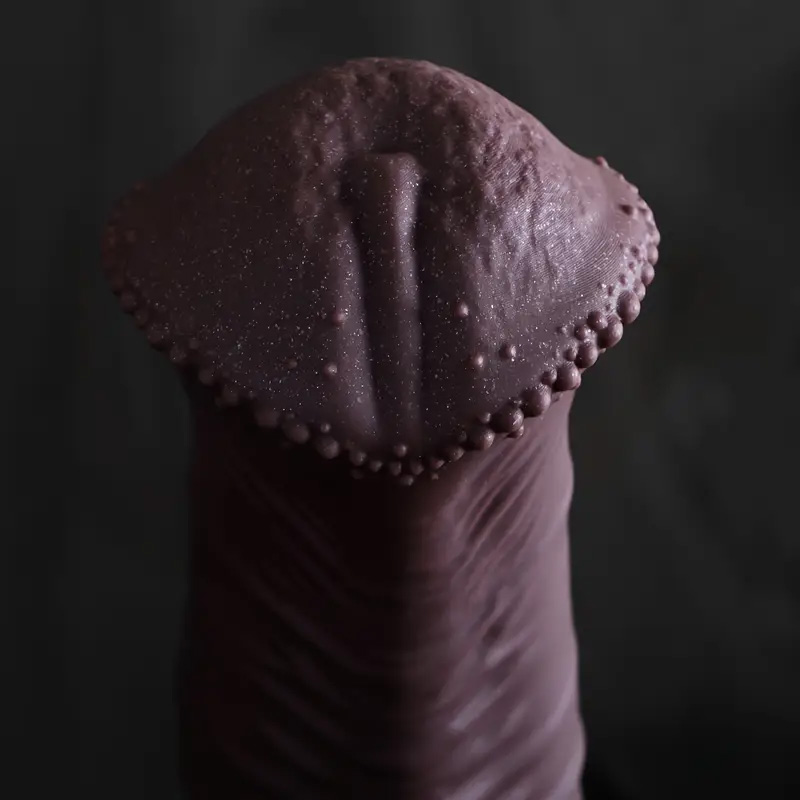Huge Horse Dildo Anal Plug Sex - Lunge Line Horse 评论和价格