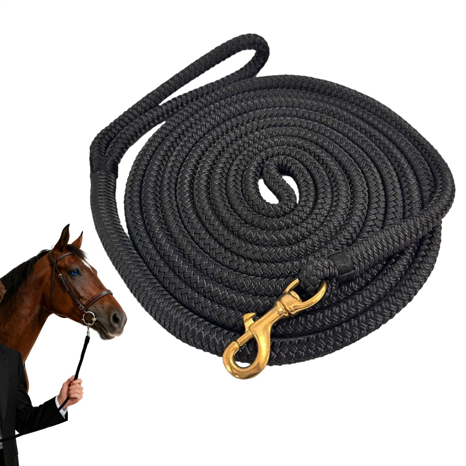 Horse Lunge Line Performance H - Lunge Line Horse 评论和价格